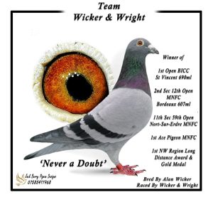 Never A Doubt Team Wicker & Wright