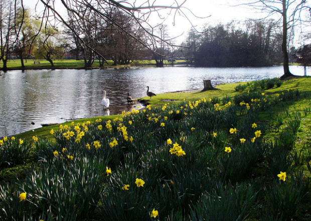 Police appeal for information after a man was robbed in Boultham park on Wednesday. Photo: Mick talbot via Flickr
