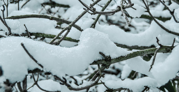 Photo: Eneko Muiño/ Flickr.