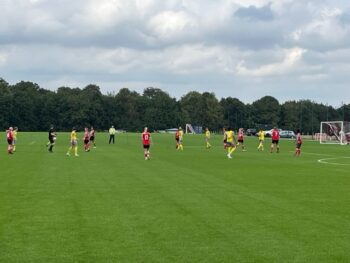 Lincoln City Women and Boldmere St. Michaels in action