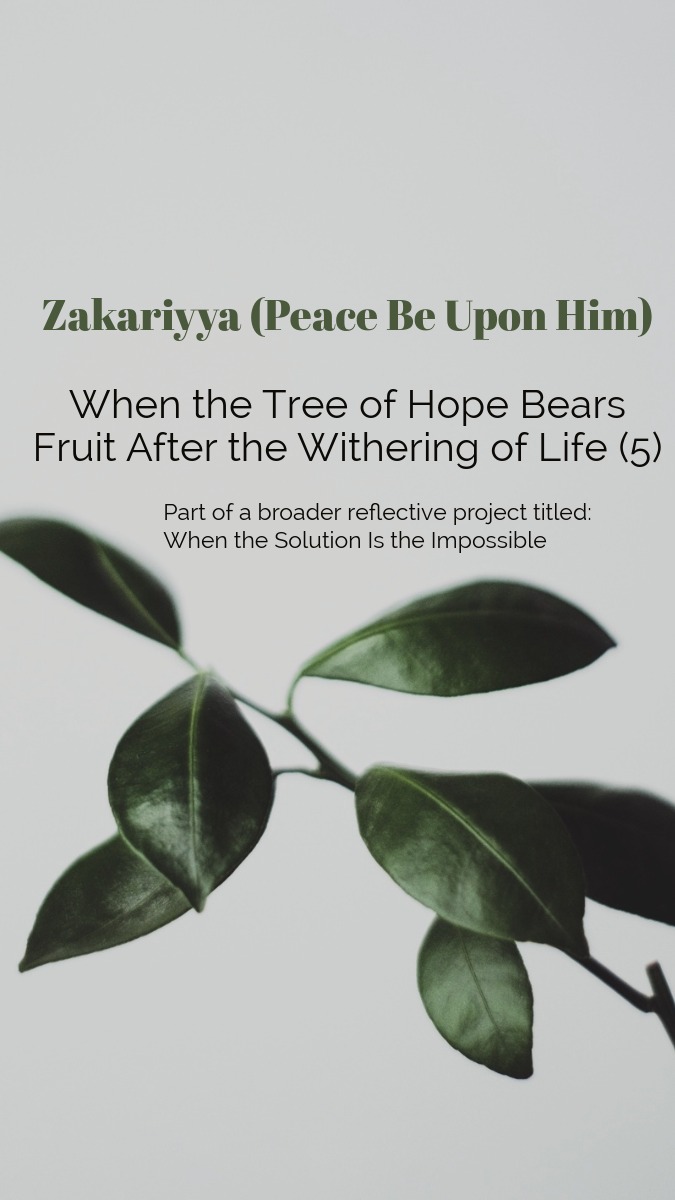 Zakariyya (Peace Be Upon Him): When the Tree of Hope Bears Fruit After the Withering of Life (5)