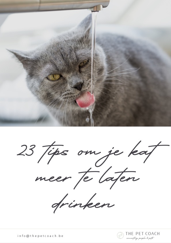 Gratis - tips om te drinken