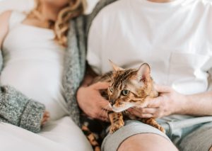 Tevreden baasjes na praktische geleiding op maat