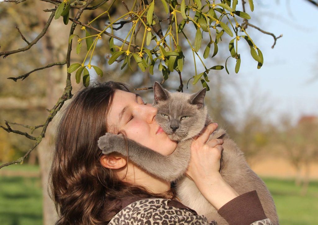 Baasje knuffelt kat zonder gedragsproblemen