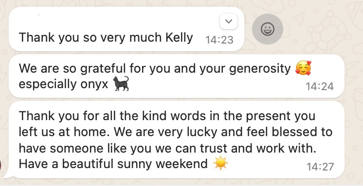 Catsitting Overijse - A satisfaction response of a cat owner after my visits to their cat Onyx