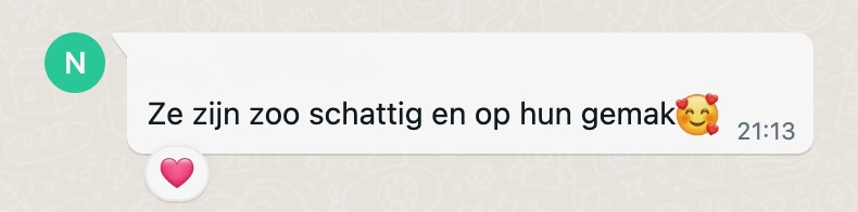 Kattenoppas Overijse - Screenshot van WhatsApp-bericht waarin klant verbaasd is hoe snel hun katten zich op hun gemak voelden