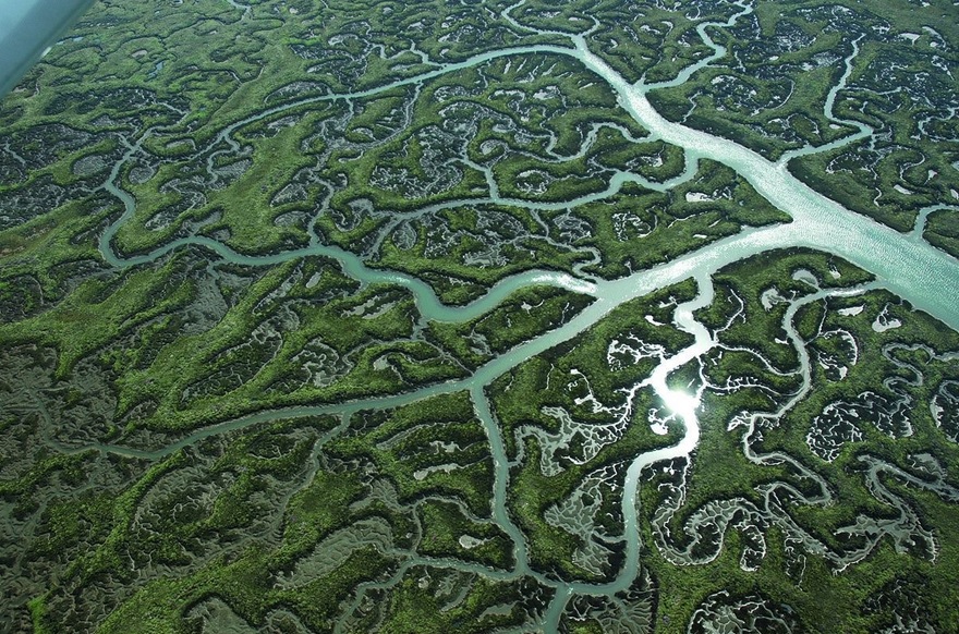 Top 10 Amazing & Beautiful Salt Marshes Top 10 of Anything and Everything