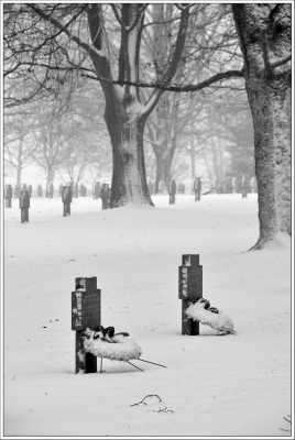 cimetière militaire, allemand, recogne, bastogne