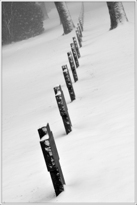 cimetière militaire, allemand, recogne, bastogne