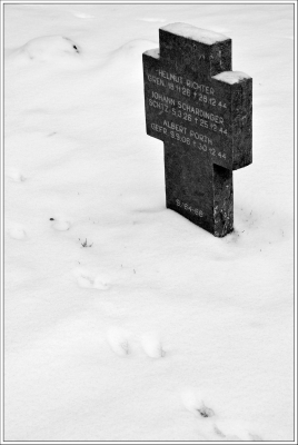 cimetière militaire, allemand, recogne, bastogne