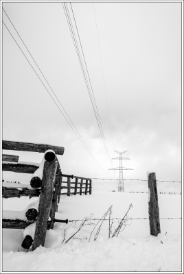 paysage enneigé, neige, épure blanche, clôture, ligne haute tension