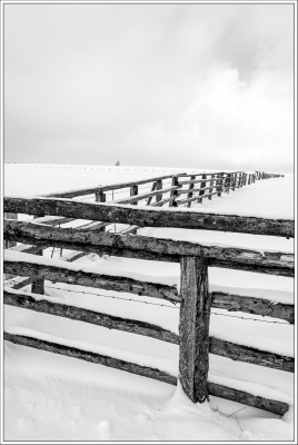 paysage enneigé, neige, épure blanche, clôture