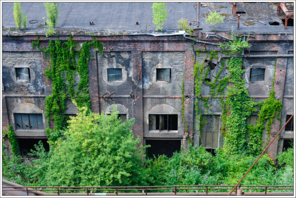 usine, usine désaffectée, sidérurgie, végétation