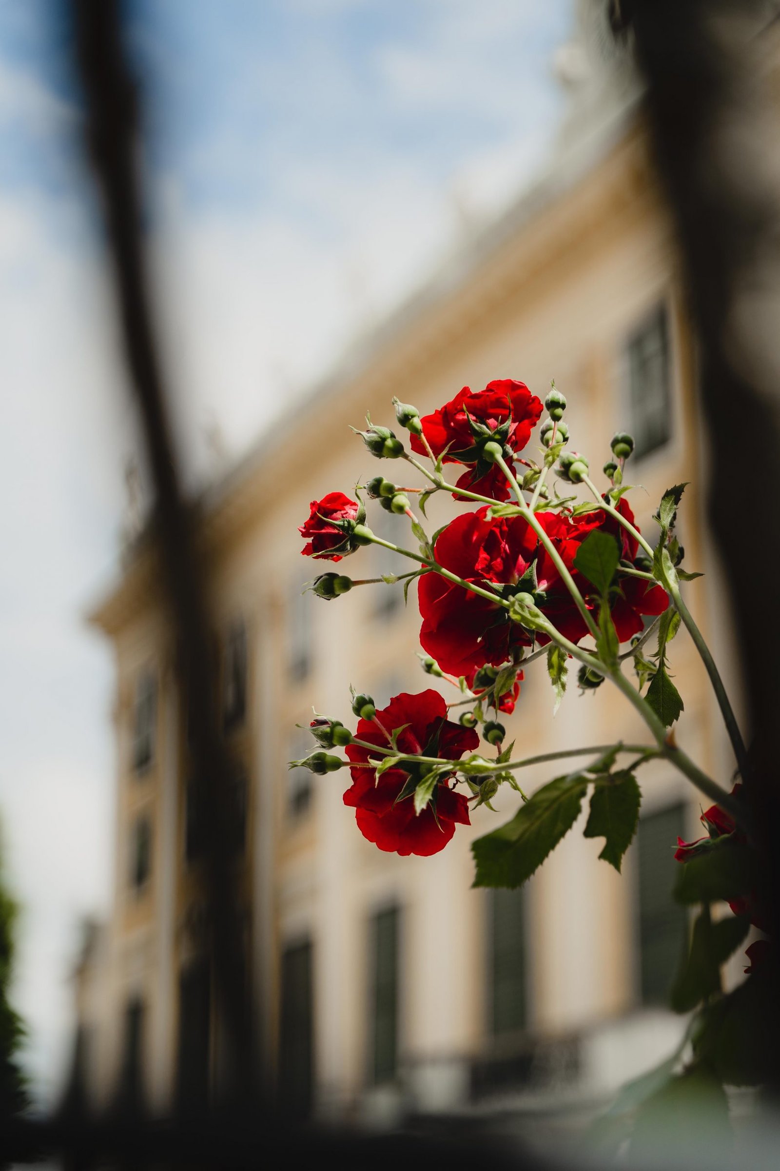 @thuur.kurvers-01938