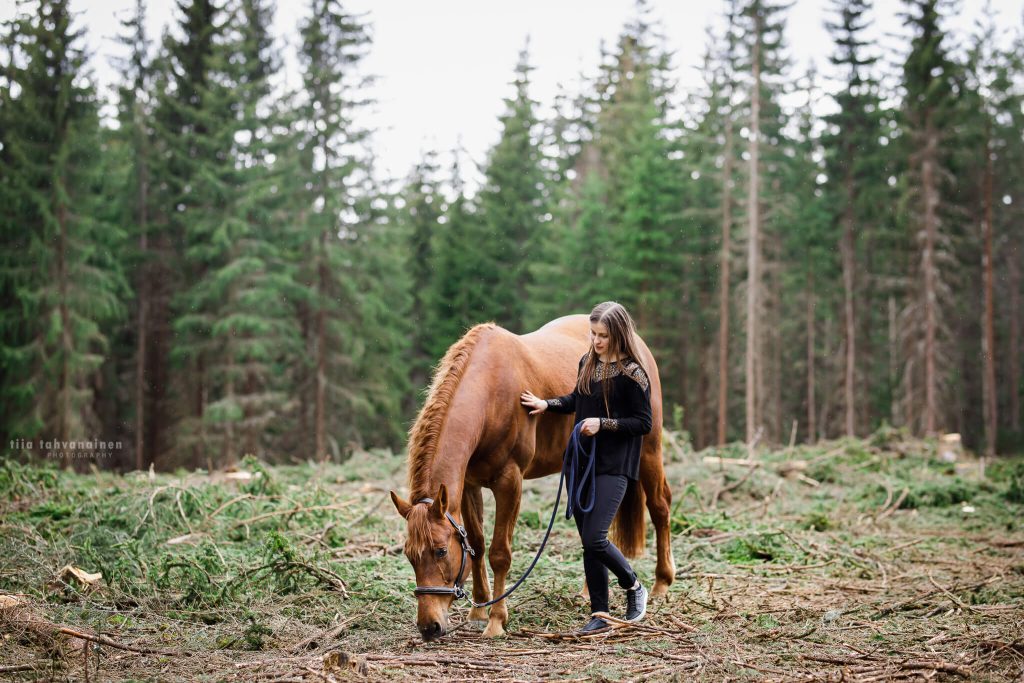 mustiin pukeutunut tyttö rautiaan puoliverihevosen kanssa kuusien reunustamalla hakkuuaukealla, tyttö silittää hevosta kun hevonen syö maasta