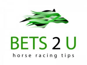 bets 2 u review