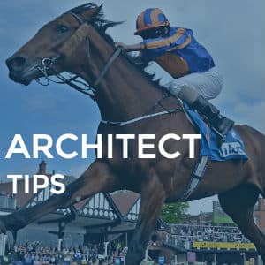 architect tips review