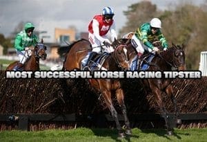 Most Successful Horse Racing Tipster