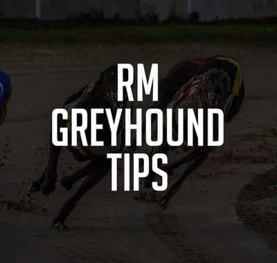 RMGreyhoundSmall RM Greyhound Tips Review