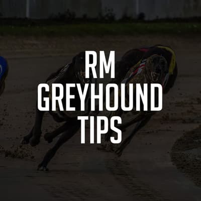 RM Greyhound Tips Review
