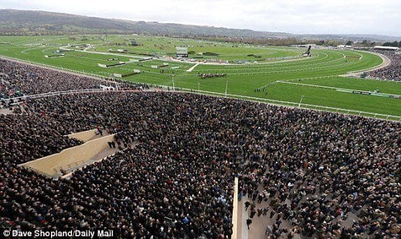 how busy will cheltenham festival 2020 be