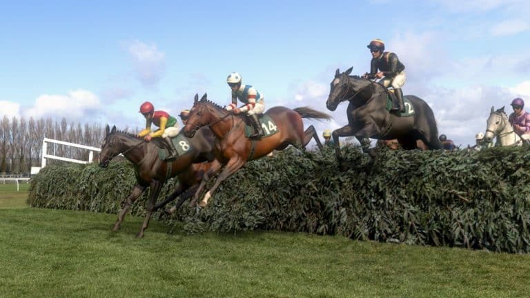 Virtual Grand National 2020 Tips