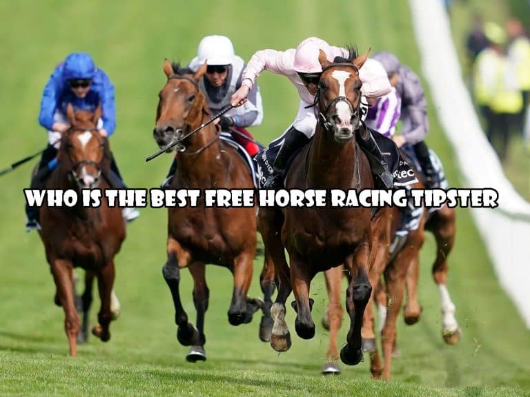 Who is the best free horse racing tipster