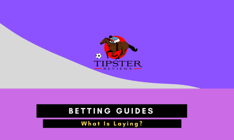 What Is Laying In Betting?