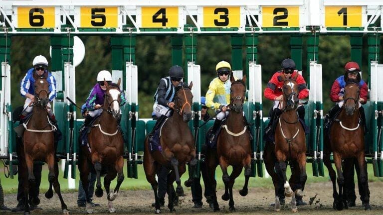 Where Can You Win More: Horse Races or Online Casinos?