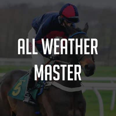 all weather master review