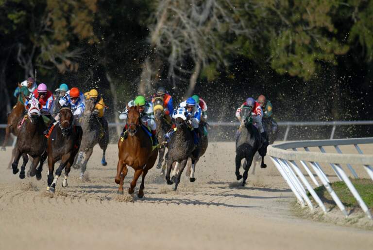 What are the different types of bets in horse racing?