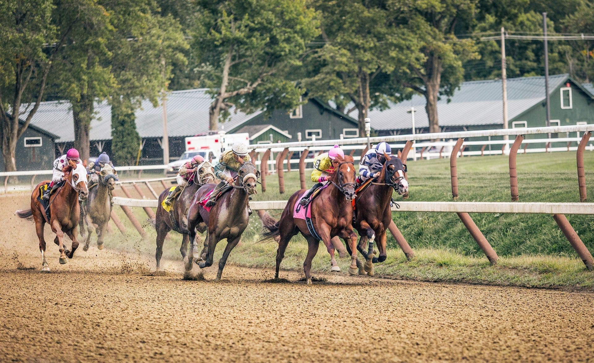 Betting on Horseracing