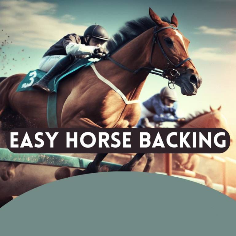 easy horse backing review