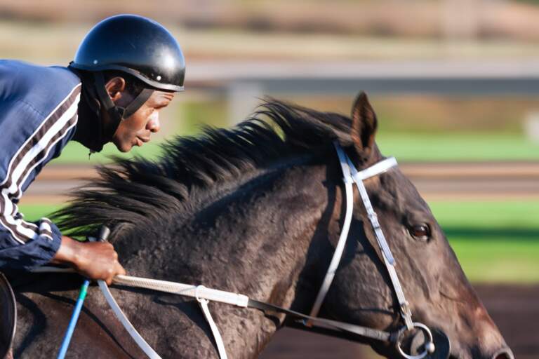 Taking Your Friend To Their First Horse Racing Event