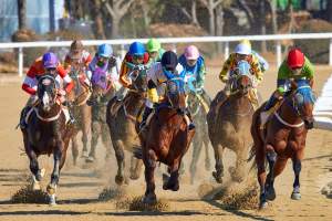 Top five best Promo & Bonuses for the 149th Kentucky Derby