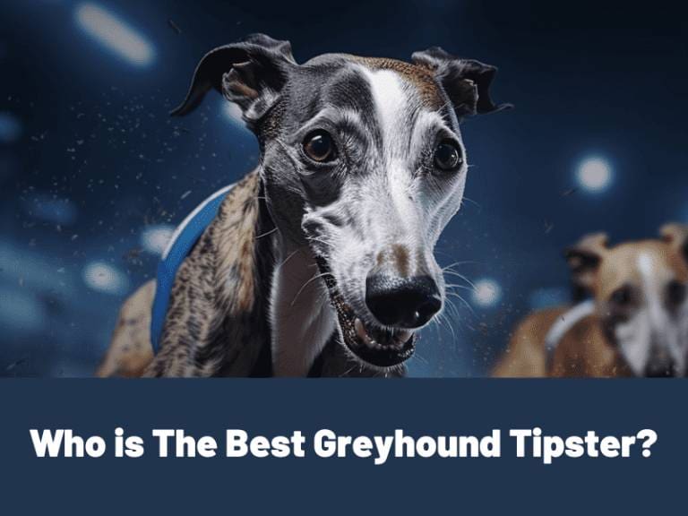 Who is the best Greyhound Tipster?