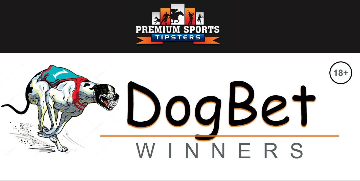 dog bet winners review