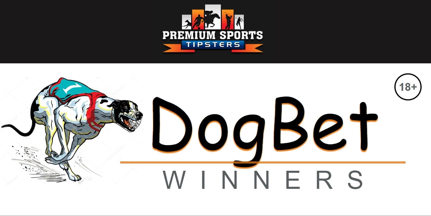 Dog Bet Winners Review BOG Greyhound Tips Premium Sports Tipsters