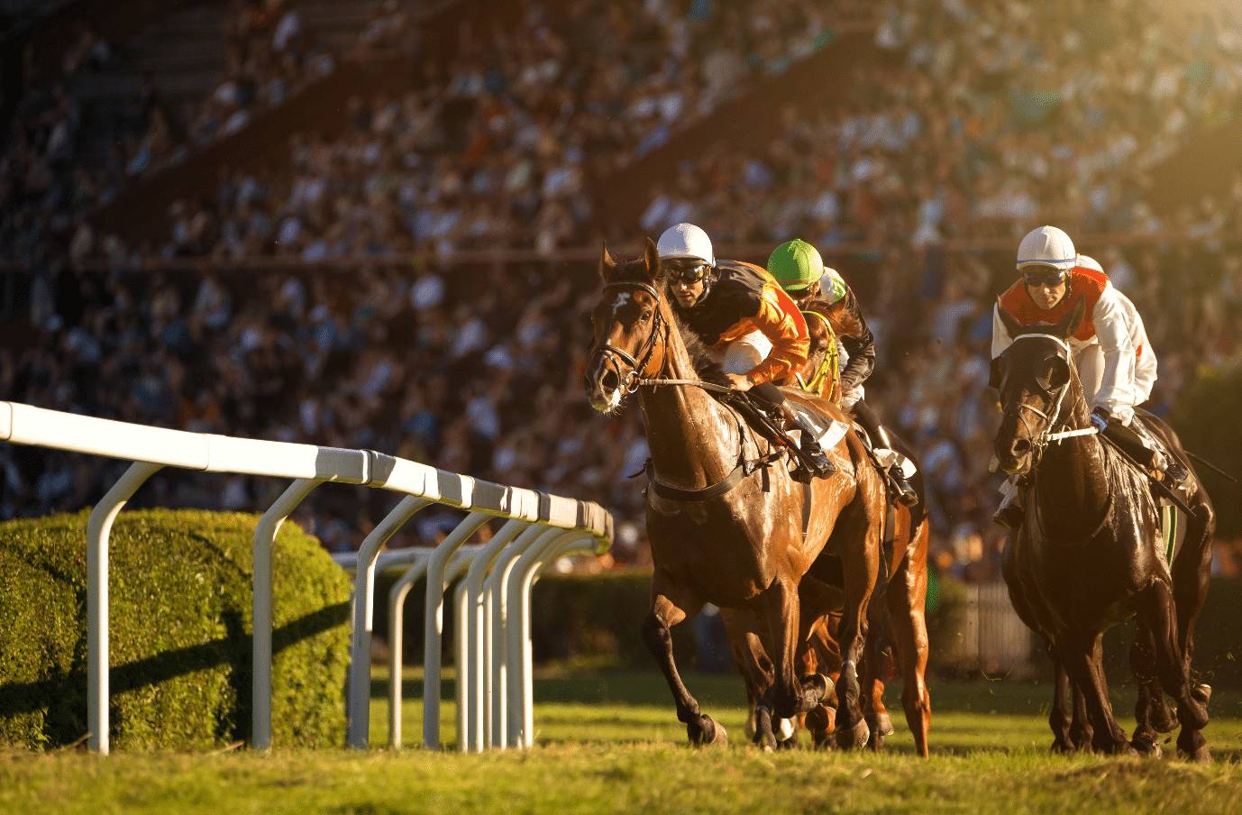 Who will come out on top in the Prince of Wales’s Stakes?