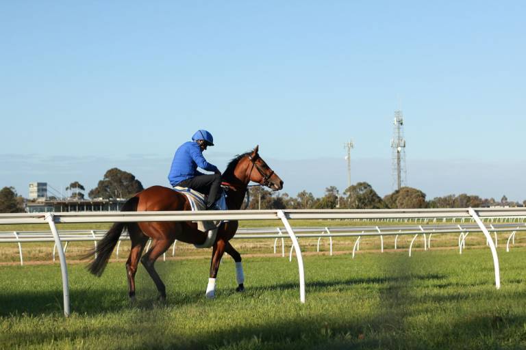 he Caulfield Cup