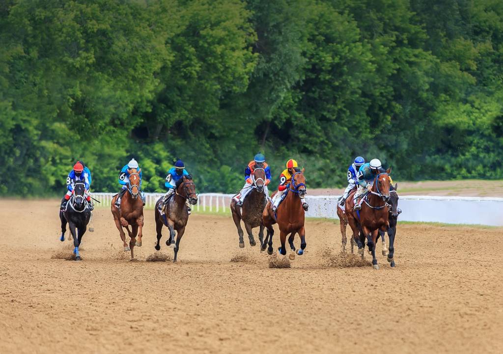 the Caulfield Cup