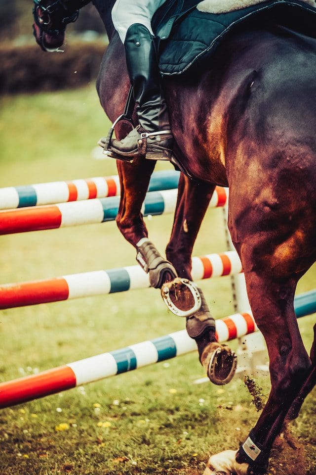 Horse racing betting sites Ireland