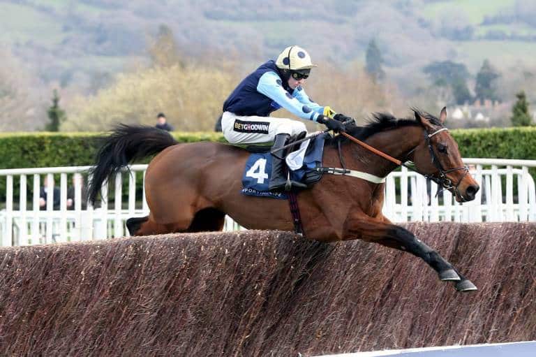 Cheltenham Festival 2024 national hunt chase