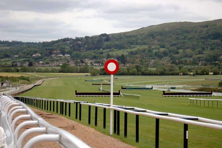 key trends for the Cheltenham bumper