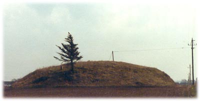Gravhøjen Hammershøj
