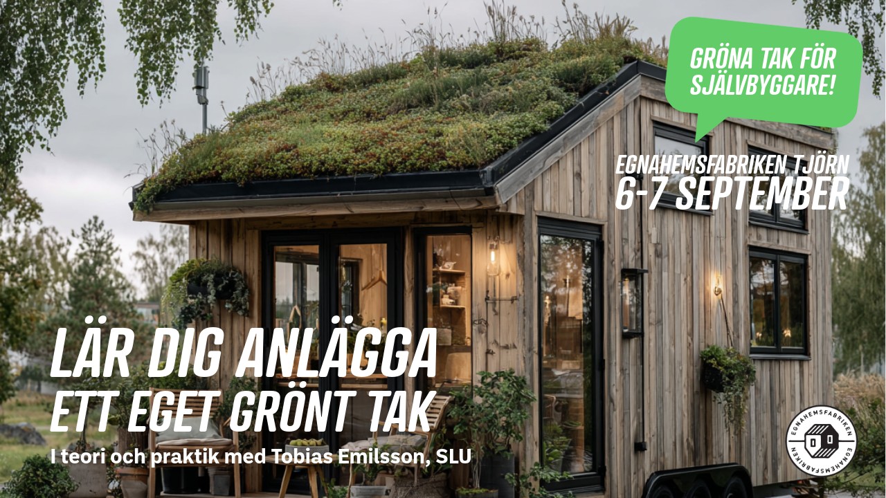 greenroof2
