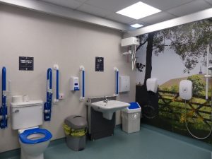 Image of second Disabled Toilets facilities.