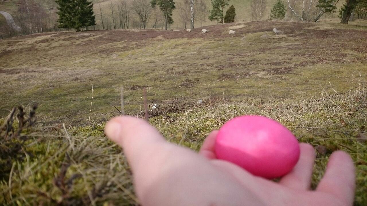 Äggrullning från toppen av Ornahög skidbacke.