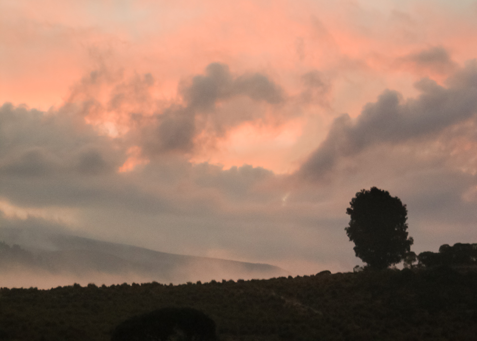 Guatemala Cada momento tiene su destino y al final tenemos que separarnos de todo sin excepciones Así son las condiciones bajo del sol Con las lecciones aprendidas y paz en nuestros corazones podamos saltar sin miedo, sin contrición Con paz en nuestros corazones podamos dejar los momentos como están y disfrutar el viento acariciando el rostro Así son las condiciones bajo del sol En el espacio entre el cielo y el mar estamos libre sin limites, sin temor En el espacio entre el cielo y el mar nace el amor Así son las condiciones bajo del sol Cada momento tiene su destino y al final se termina Pronto dejaré mi Guateamala pero igual como el viento el amor siempre estará en mi corazón libre y sin limites Incondicional Así es.