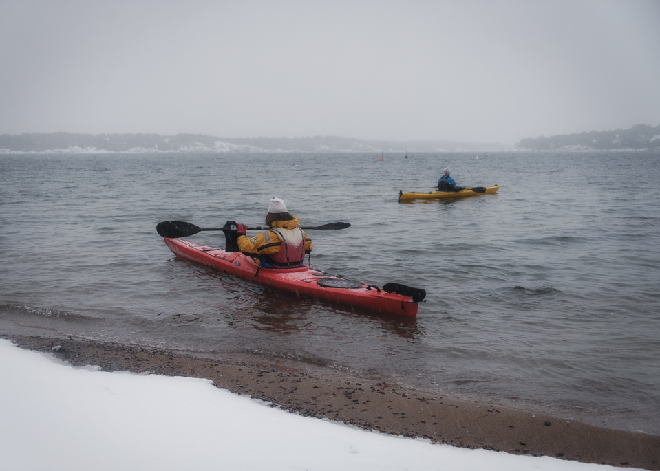 seabird, kayak,